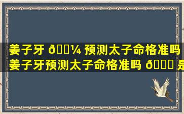姜子牙 🐼 预测太子命格准吗「姜子牙预测太子命格准吗 🐕 是真的吗」